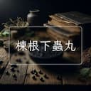 楝根下蟲丸