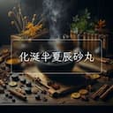 化涎半夏辰砂丸