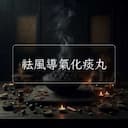 祛風導氣化痰丸