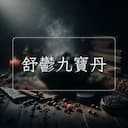 舒鬱九寶丹