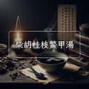 柴胡桂枝鱉甲湯
