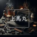 上馬丸