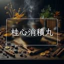 桂心消積丸