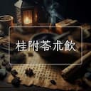 桂附苓朮飲