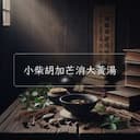 小柴胡加芒消大黃湯