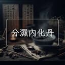 分濕內化丹