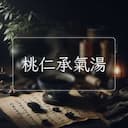 桃仁承氣湯