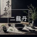 二龍丹