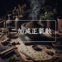 二加減正氣散