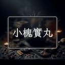 小槐實丸