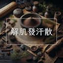 解肌發汗散