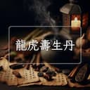 龍虎夀生丹