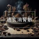 通玄消腎散
