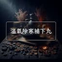 溫氣除寒補下丸