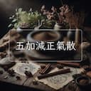 五加減正氣散