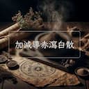 加減導赤瀉白散