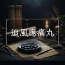 追風應痛丸
