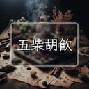 五柴胡飲