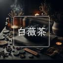 白薇茶