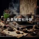 益氣補虛杜仲散