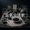 益氣分清飲