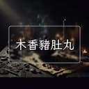 木香豬肚丸