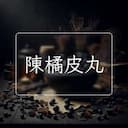 陳橘皮丸