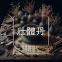 壯體丹