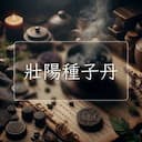壯陽種子丹