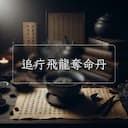 追疔飛龍奪命丹