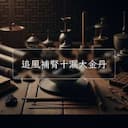 追風補腎十漏大金丹