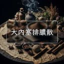 大內塞排膿散