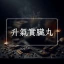 升氣實臟丸