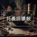 托裏排膿散