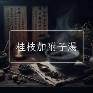 桂枝加附子湯