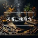 沉香三棱煎丸