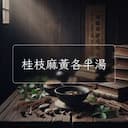 桂枝麻黃各半湯