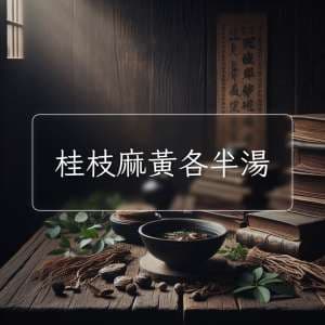 桂枝麻黃各半湯