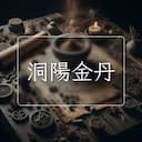 洞陽金丹