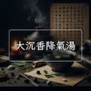 大沉香降氣湯