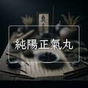 純陽正氣丸
