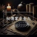 秘傳掌中金丸