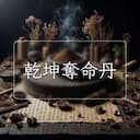 乾坤奪命丹