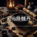 天元接髓丹