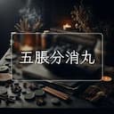 五脹分消丸