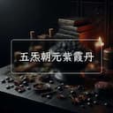 五炁朝元紫霞丹
