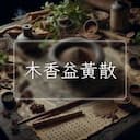 木香益黃散