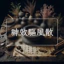 神效驅風散