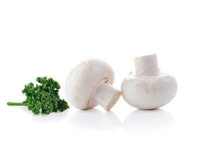 蘑菇