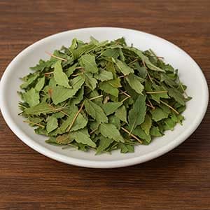 淫羊藿